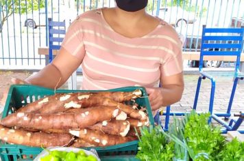 Foto - Feira do Produtor Rural