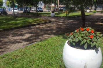 Foto - VASOS DE FLORES NA PRAÇA