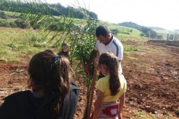 Foto - PLANTIO DE COQUEIROS