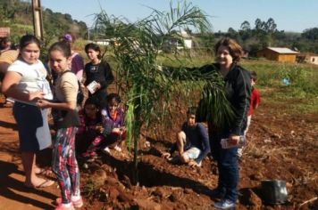 Foto - PLANTIO DE COQUEIROS