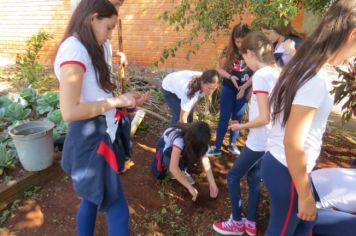 Foto - COMBATE A DENGUE