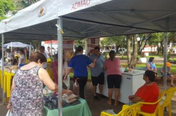 Foto - FEIRA DO PEIXE