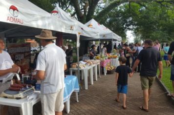 Foto - FEIRA DO PEIXE