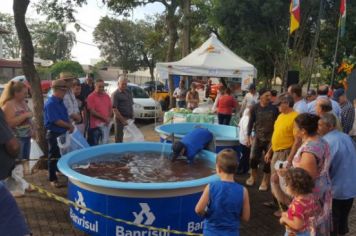 Foto - FEIRA DO PEIXE