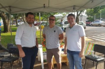 Foto - FEIRA DO PEIXE