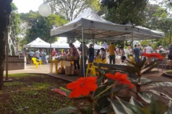 Foto - FEIRA DO PEIXE