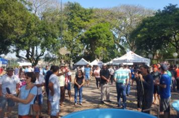 Foto - FEIRA DO PEIXE