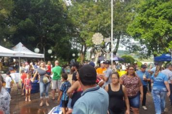 Foto - FEIRA DO PEIXE