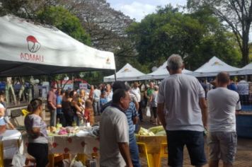 Foto - FEIRA DO PEIXE