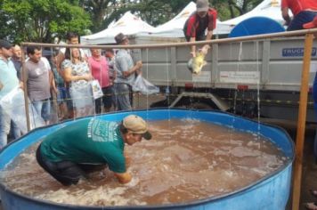 Foto - FEIRA DO PEIXE