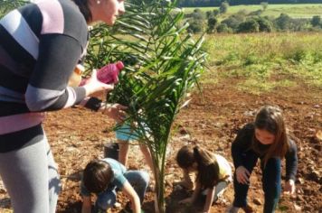 Foto - PLANTIO DE COQUEIROS