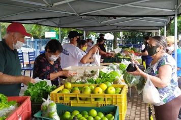 Foto - Feira do Produtor Rural