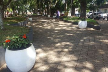 Foto - VASOS DE FLORES NA PRAÇA