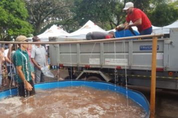 Foto - FEIRA DO PEIXE