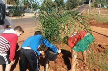 Foto - PLANTIO DE COQUEIROS