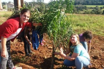 Foto - PLANTIO DE COQUEIROS