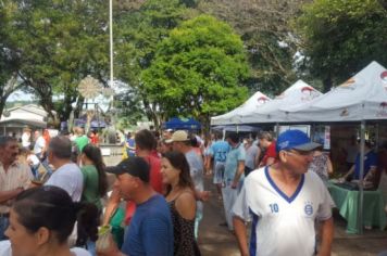 Foto - FEIRA DO PEIXE