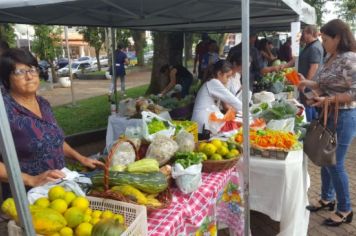 Foto - FEIRA DO PEIXE