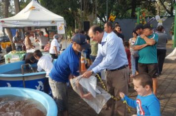 Foto - FEIRA DO PEIXE