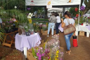 Foto - FEIRA DO PEIXE