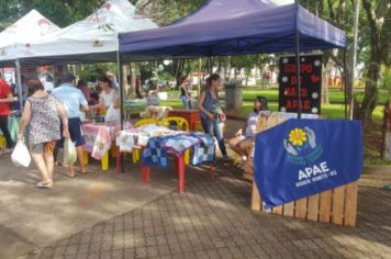 Foto - FEIRA DO PEIXE