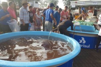 Foto - FEIRA DO PEIXE