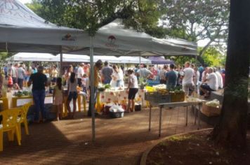 Foto - FEIRA DO PEIXE