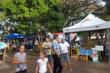 Foto - FEIRA DO PEIXE