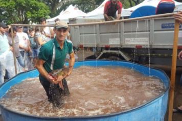 Foto - FEIRA DO PEIXE