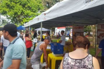 Foto - FEIRA DO PEIXE