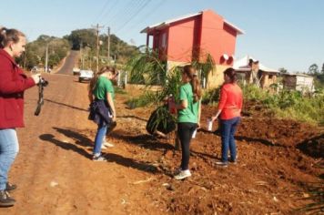 Foto - PLANTIO DE COQUEIROS