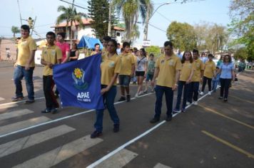 Foto - DESFILE RODEIO BONITO