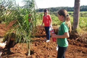 Foto - PLANTIO DE COQUEIROS