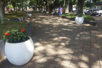 Foto - VASOS DE FLORES NA PRAÇA