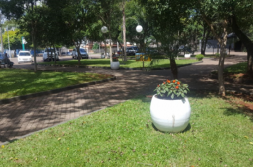 Foto - VASOS DE FLORES NA PRAÇA