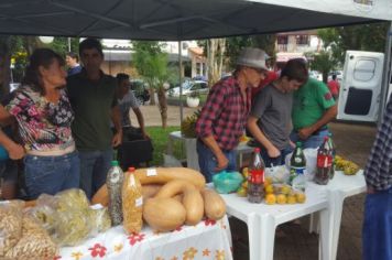 Foto - FEIRA DO PEIXE