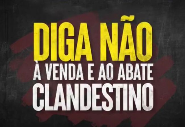 Secretaria da Agricultura de Rodeio Bonito e SIM participam de ações de combate ao abate clandestino em operações com a Defesa Agropecuária do RS