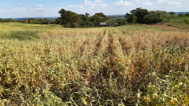 DECRETADA SITUAÇÃO DE EMERGÊNCIA EM RODEIO BONITO