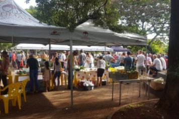 Foto - FEIRA DO PEIXE