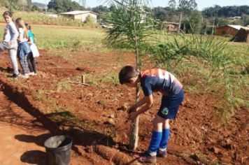 Foto - PLANTIO DE COQUEIROS