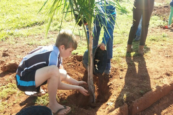 MUDAS DE COQUEIROS SÃO PLANTADAS EM AÇÃO COOPERATIVA